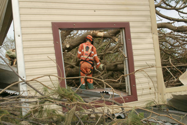Best Firewood Processing and Delivery  in St Ansgar, IA